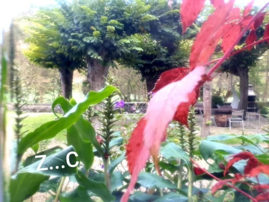Zentral Club Neutron-Jacuzzi Διαμέρισμα Belmonte De Miranda Εξωτερικό φωτογραφία